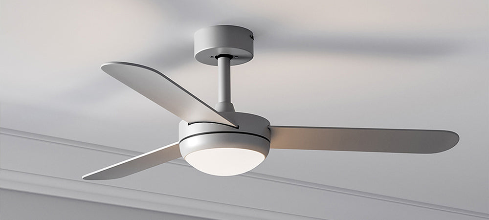 Ceiling Fan Light