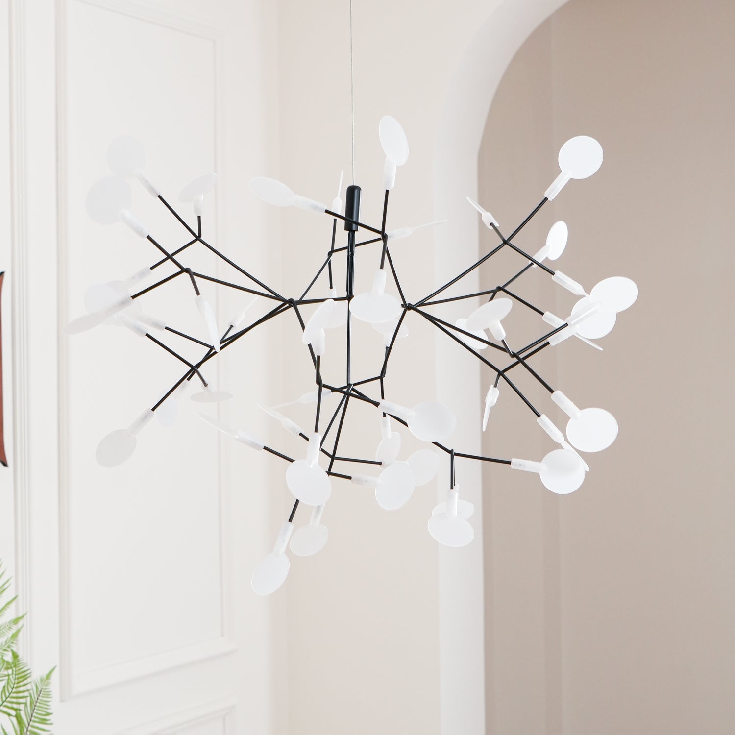 Candelabros negros Heracleum