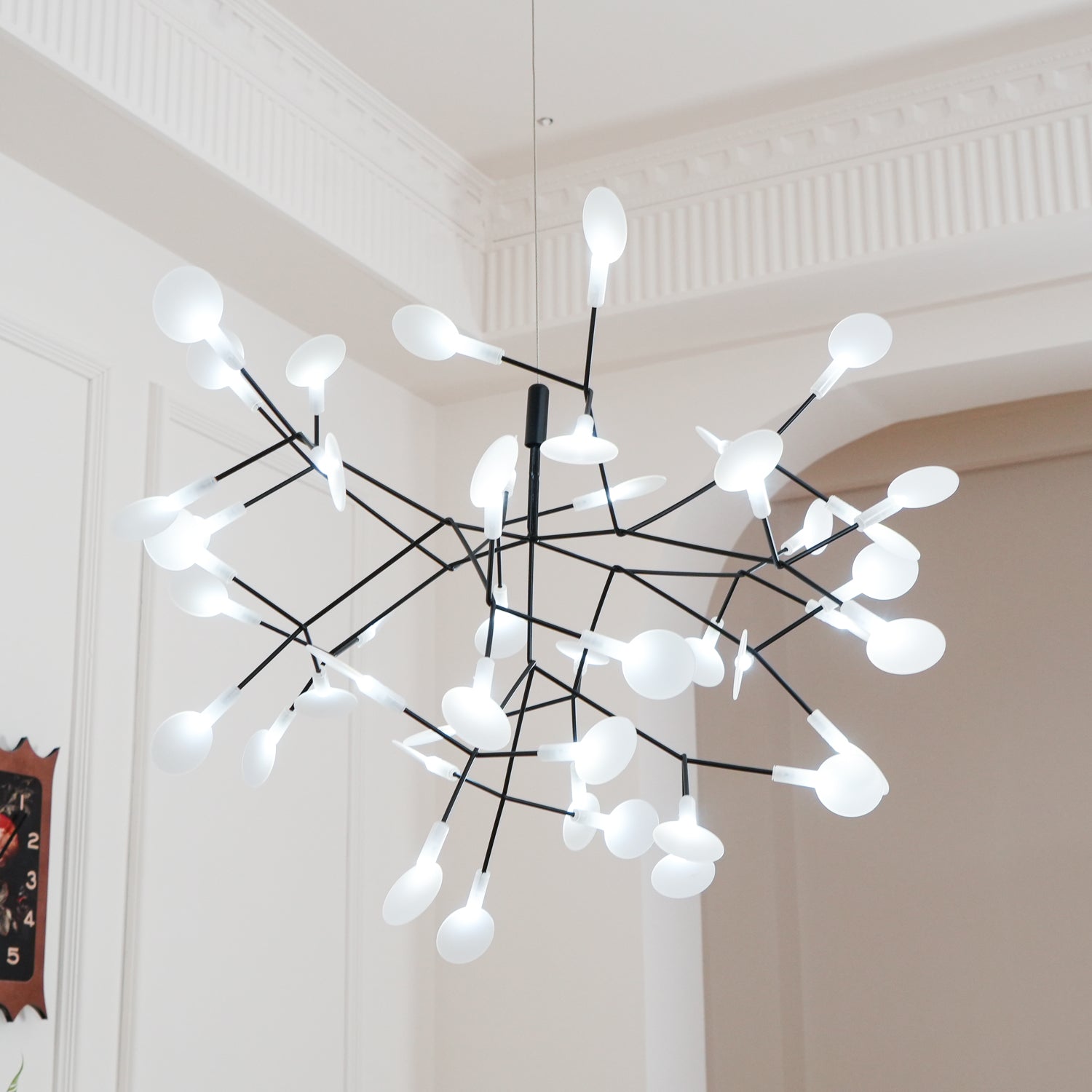 Candelabros negros Heracleum