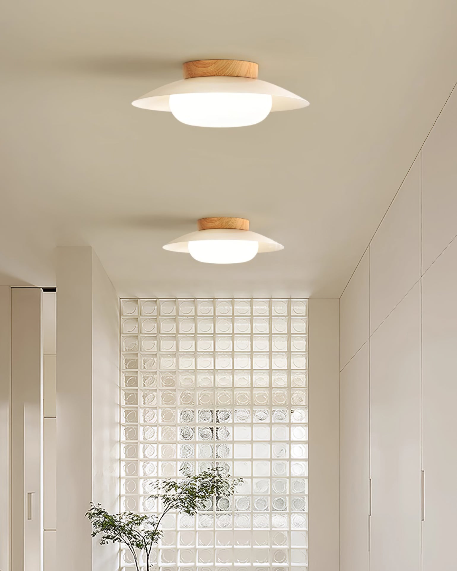 Bomba Ceiling Light