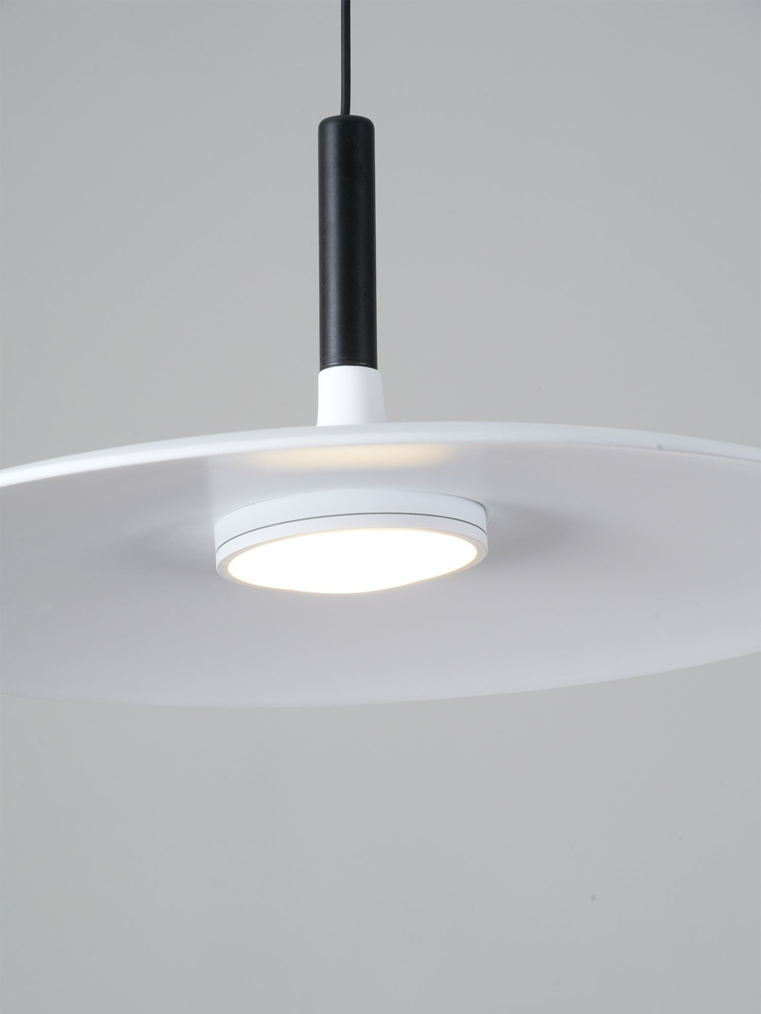 Aplomb Pendant Lamp