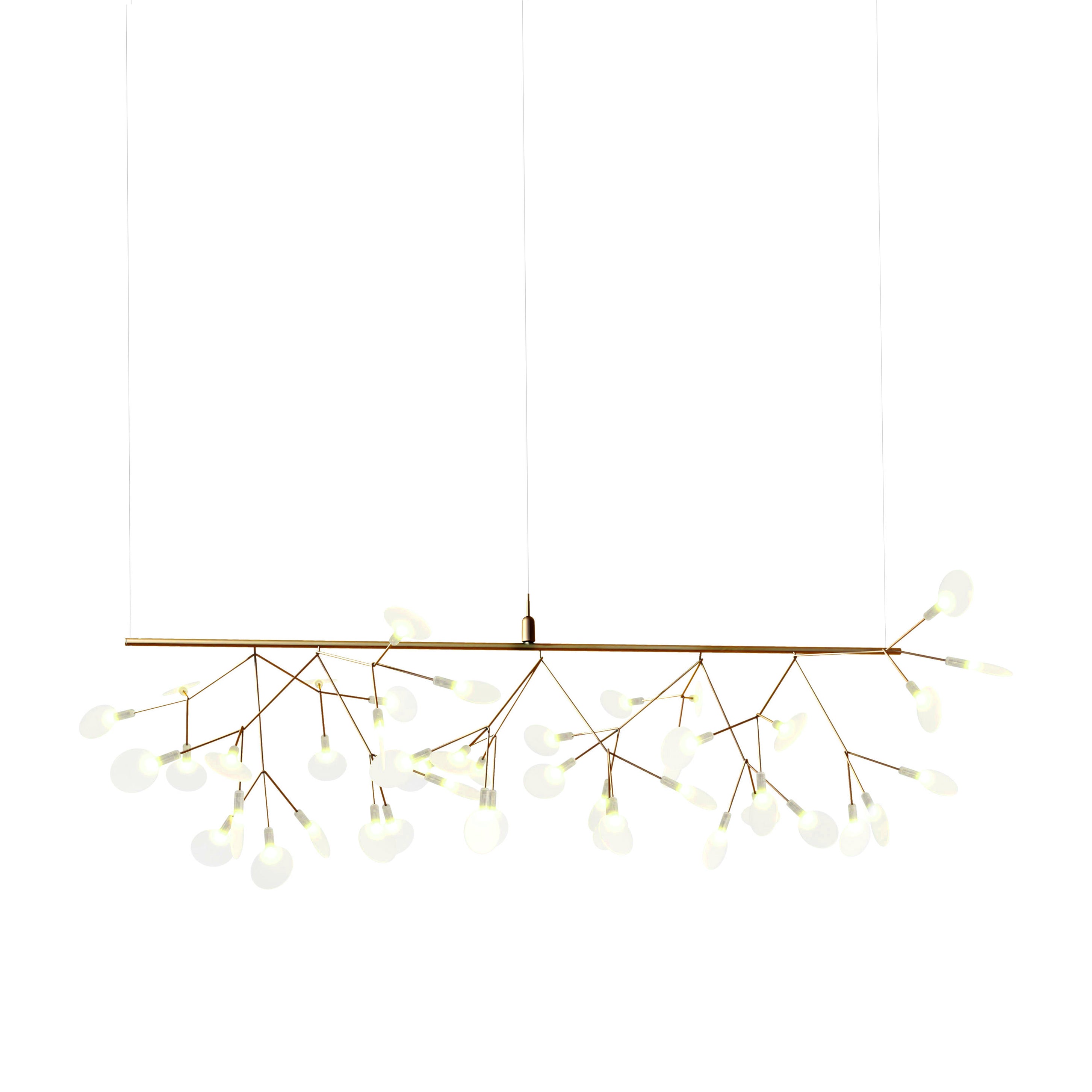 Heracleum Chandelier