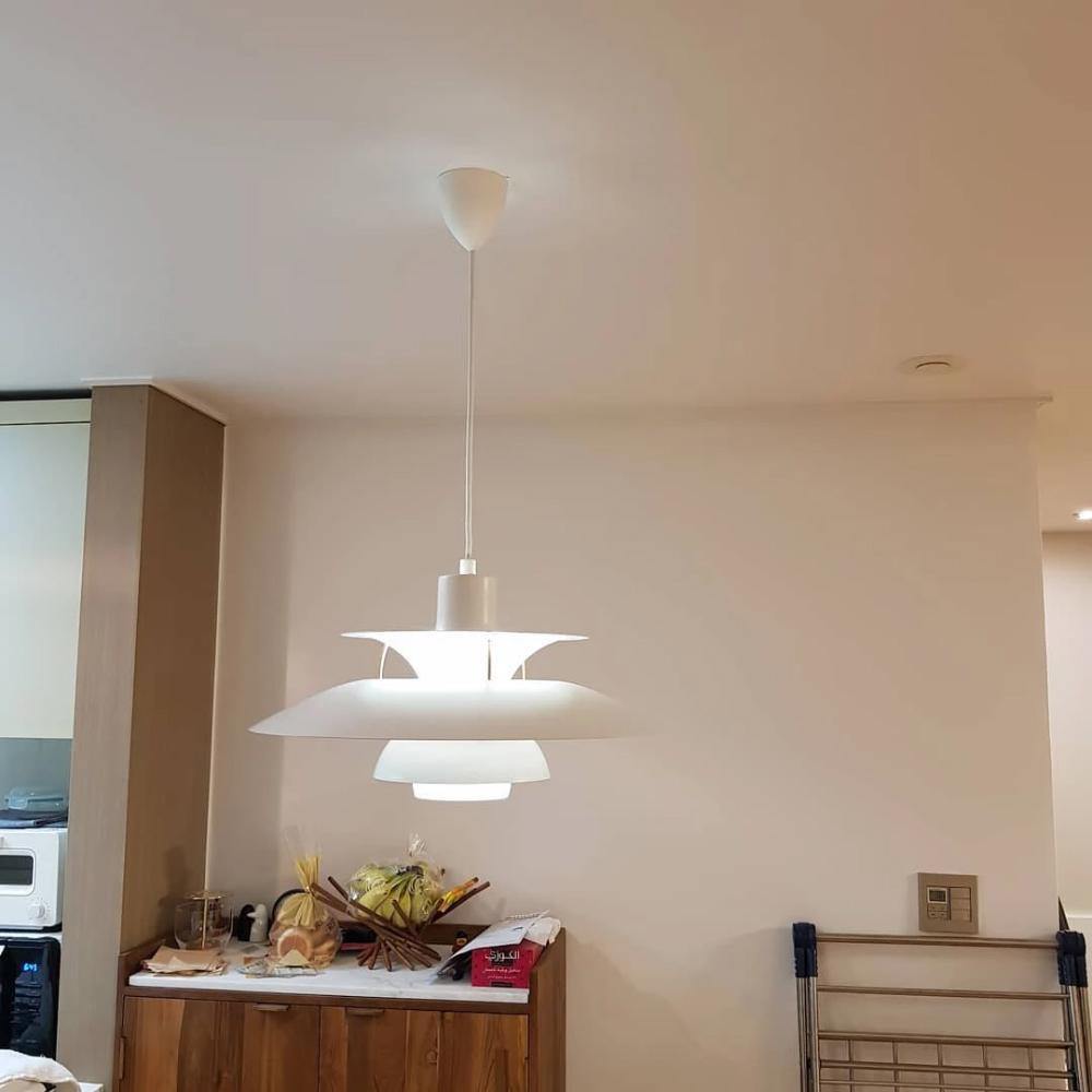 Reflective Pendant light